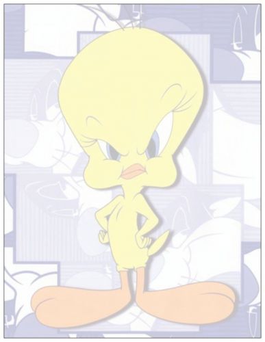 TWEETY NOTE PAD # 2. LOONEY TUNES CARTOONS. MAGNETIC BACK