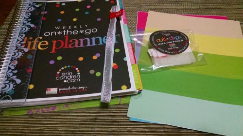 NEW Erin Condren 2015 Life Planner, Platinum Elastic Band, Labels &amp; Coil Clips