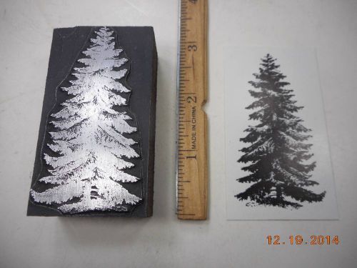 Letterpress Printing Printers Block, Evergreen, Fir Tree