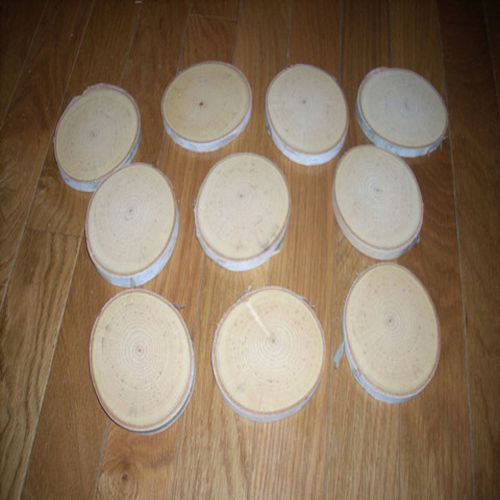 White Birch Large 4&#034; Disks (10) (Free Shipping)