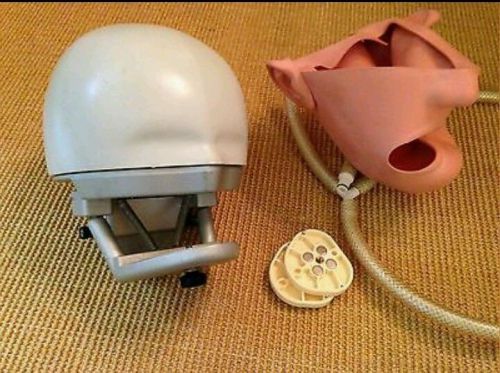 Frasaco Phantom Learning Dental Head with Accessories