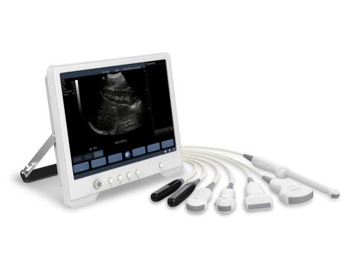 New Vet Veterinary Ultrasound Machine. Microconvex Probe for Small Animal work.