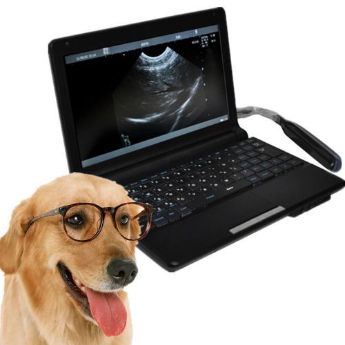 2014 full digital laptop vet ultrasound scanner + convex probe external 3d for sale