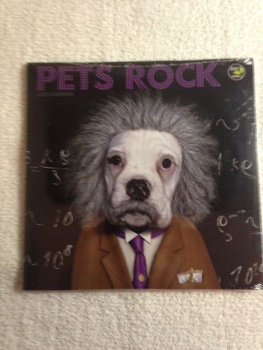 Brand New Sealed 2015 Mini Wall Calendar Pets Rock