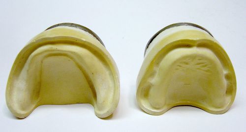 DENTAL TOOTH MODEL DENTISTRY LAB VINTAGE COLUMBIA DENTOFORM PAIR BASE SET OF 2