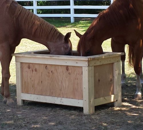 Slow Feed Wooden Hay Feeder for horses and other equine animals