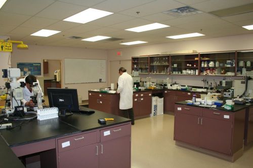 Misc. st. charles laboratory cabinets w/ epoxy resin chem. resistant tops lot for sale