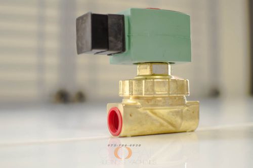 Asco red hat su8220g406 s &amp; hw solenoid valve, 1/2 in., nc, brass su-8220-g406 for sale