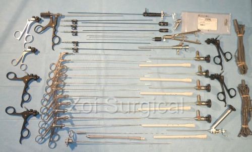 Storz neuroendoscopy gaab set with 6 telescopes, 17 lap forceps, more for sale