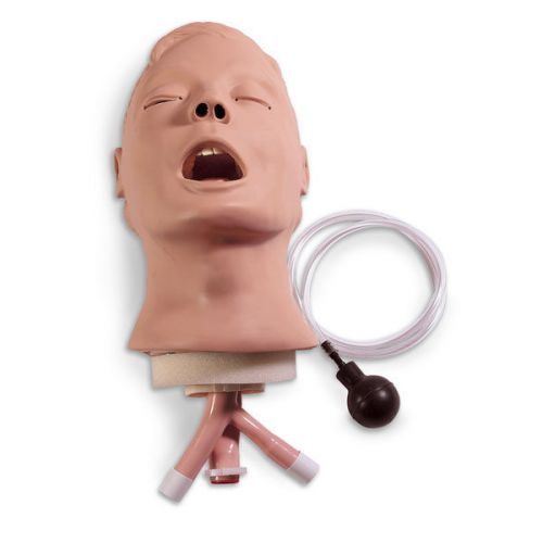 Brand New Airway Larry Adult Airway Management Trainer Head #LF03667U