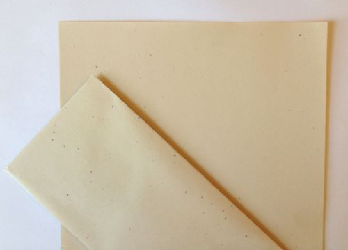 CONFETTI PAPER Resume Invitation - SAND - 25 sheets w/ envelopes