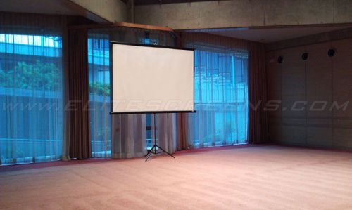 119&#034; projector screen - ELITE SCREEN - tripod pull up screen