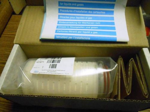 PALL AB05DFL2PH4  FLUORODYNE II CARTRIDGE 0.2 µM NEW