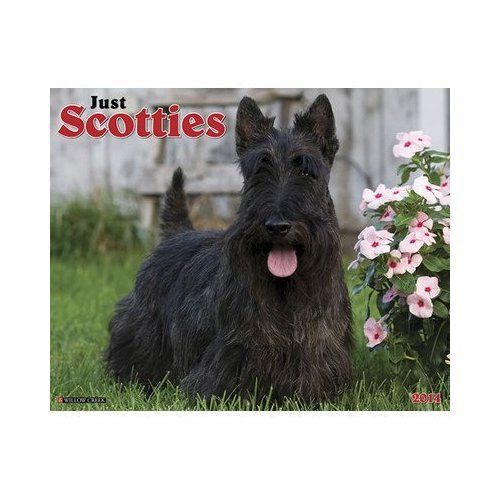 Scotties 2014 Wall Calendar Yorkies 5E Home Office Brand New