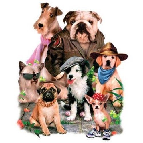 Cool Marine Dude Dog HEAT PRESS TRANSFER for T Shirt Tote Sweatshirt Fabric 901a