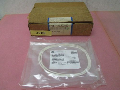 AMAT 3700-02486 ORING, ID 18.835 CSD 0.139 CZ SC513, 80 DURA W