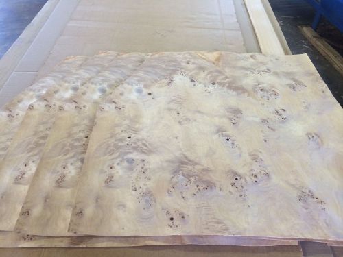 Wood veneer mappa burl 32-42x39 4pcs total raw veneer  &#034;exotic&#034; mappa2 9-26 for sale