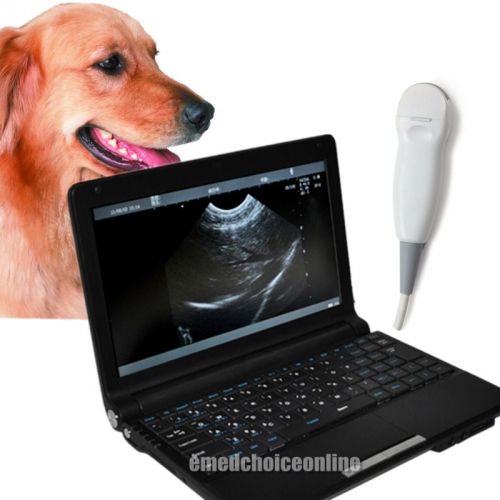 VET Digital Laptop Ultrasound Scanner Machine+Microconvex Probe f little Amimal