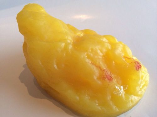 One-Pound Fat Replica 1Lb Fat Model Replica Anatomical Drug Rep Diet Pill