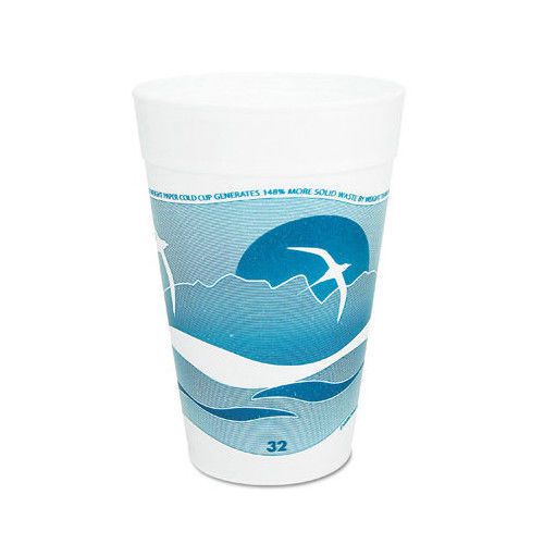 DART® 32 Oz Printed Horizon Foam Hot / Cold Cup 25 / Bag in Aqua / White