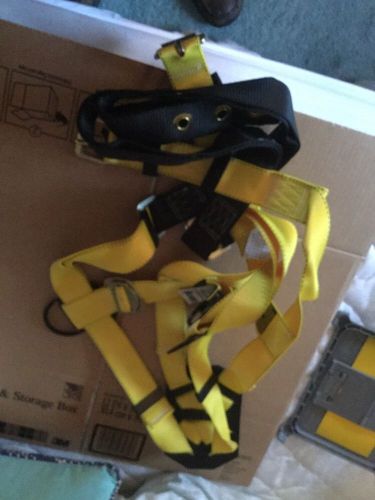 safety harness