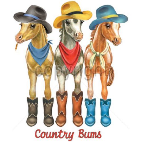 Cowboy Boot Horse HEAT PRESS TRANSFER for T Shirt Tote Sweatshirt Fabric 243g