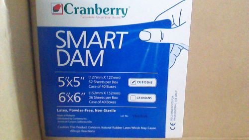 CRANBERRY RUBBER DENTAL DAM ENDODONTIC 5X5 PREMIUM 52 SHEETS