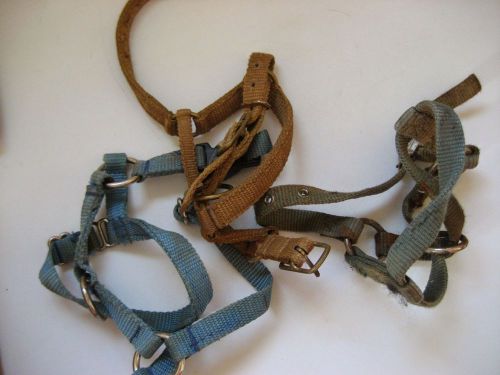 Lot of 3 Alpaca Harnesses, Alpaca Llama Leads Collar Harness, Farm Animal Supply