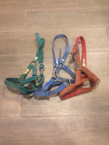 3 Used Llama Halters