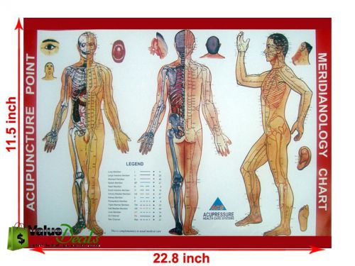 Acupressure Meridianology Chart Sujok Quick Study Educational Academics Teaching