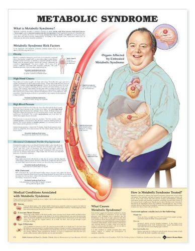 METABOLIC SYNDROME, LAMINATED ANATOMICAL CHART, 20 X 26