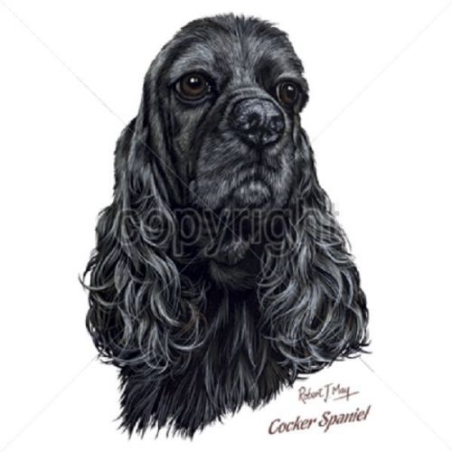 Black Cocker Spaniel Dog HEAT PRESS TRANSFER for T Shirt Sweatshirt Fabric 829f