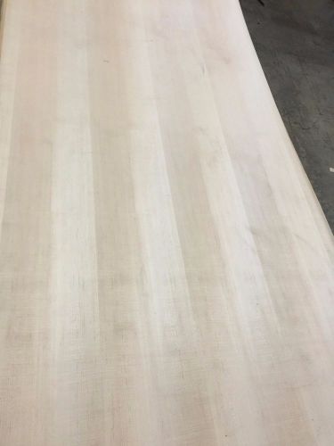 4’x8’ Qtr White Maple AA/B PBC Qty 20 Regular Price $98 Special Price $40