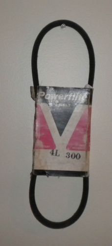 Powerflite 4L 300 V Belt