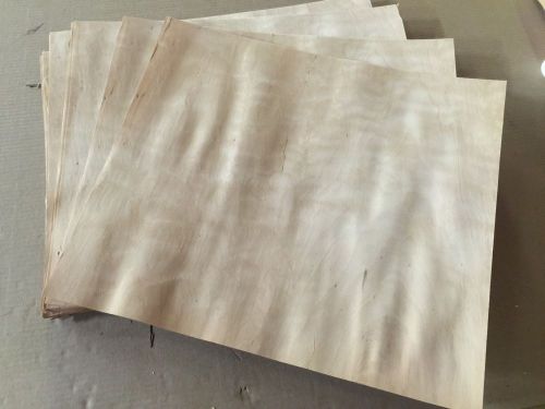 Wood Veneer Birch 19x17 22 Pieces Total Raw Veneer &#034;EXOTIC&#034; BI1 1-8-15