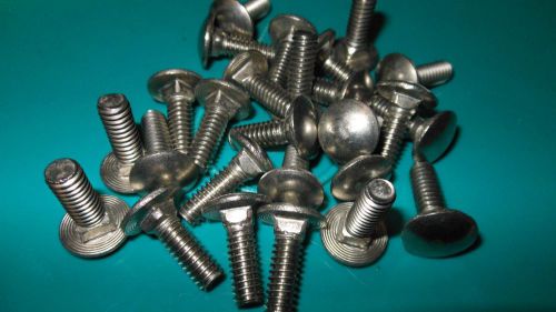 Stainless Steel Carriage Bolt 25-1/4-20 x 5/8 Thread Length