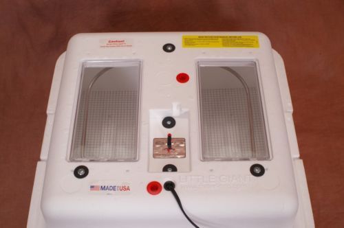 Little Giant Still Air Incubator