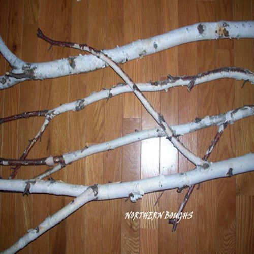 Branched White Birch Poles 7&#039;