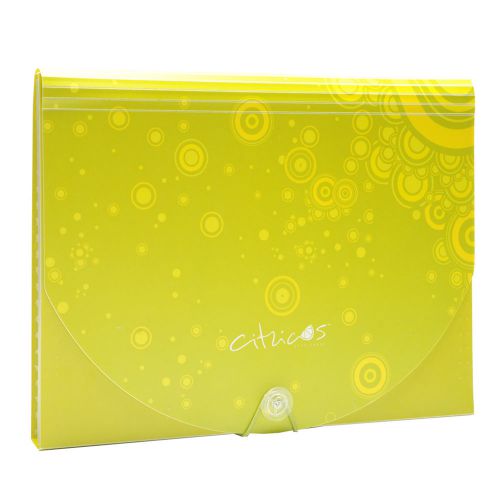 CITRICUS EXPANDING FILE FOLDER, 13 Pockets, Letter Size, Green (1009)