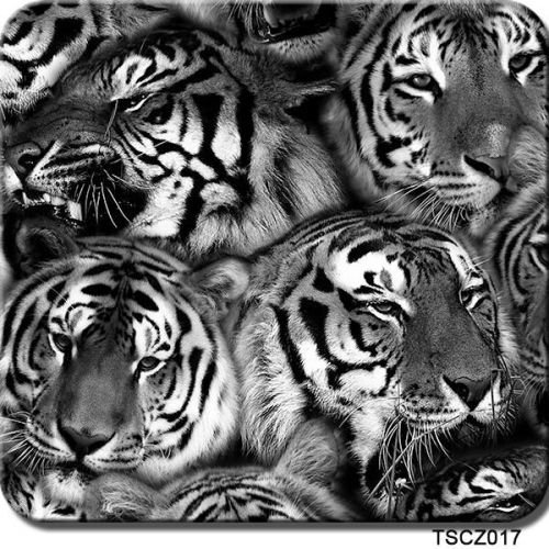 HYDRODIPPING WATER TRANSFER HYDRODIP FILM HYDRO TIGER HYDROGRAPHIC PRINT TSAUTOP