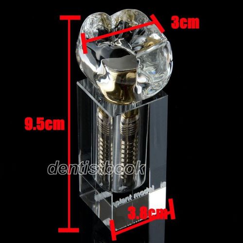 1 Pc Dental Implant Demonstration Model Teeth Study Model ZYR-2019-II