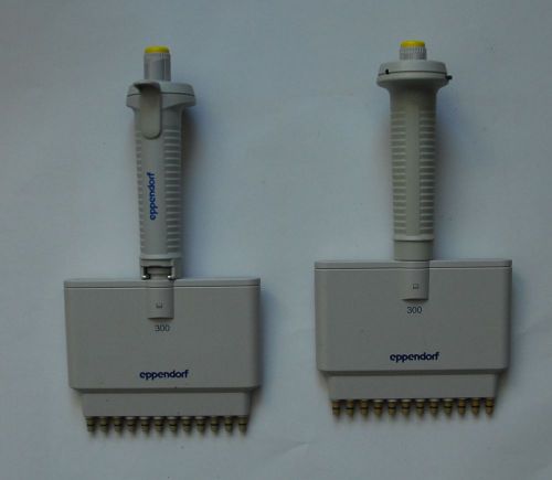 A set of 2, Eppendorf Research Multichannel Pipet, 12-channel, 30-300 ul