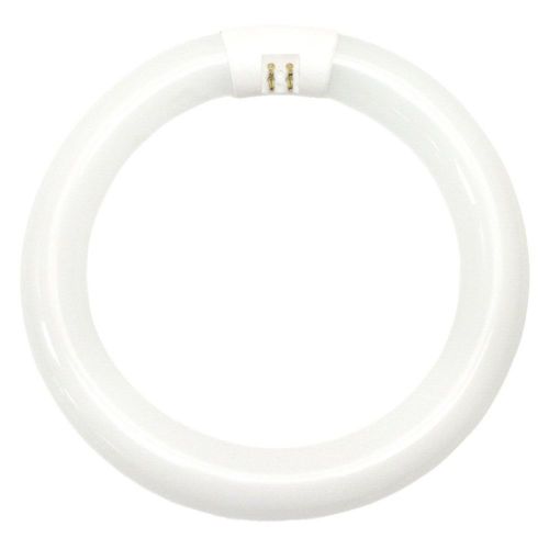 GE 11026 - FC8T9/D Circular T9 Fluorescent Tube Light Bulb 1 Pack