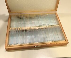 100 Piece Prepared Glass Microscope Slides in Wood Case W/ Plants Animal Human