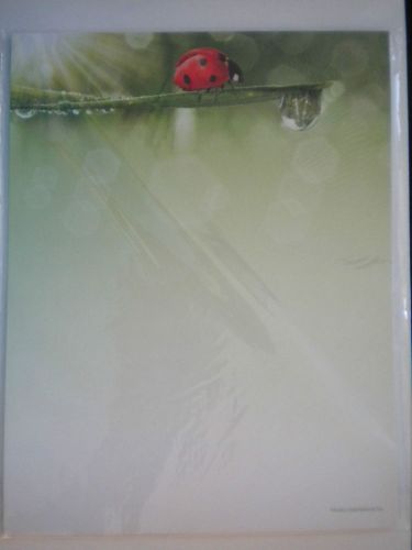 *NEW* ~ 20 Decorative &#034;LADYBUG ON A LEAF&#034; Computer Stationery Sheets