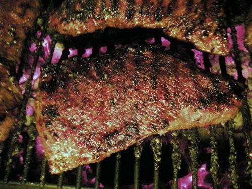 How to Manual for Juicy, Perfect Smoked Tri Tip. FREE RUB! Smoker Perfect!