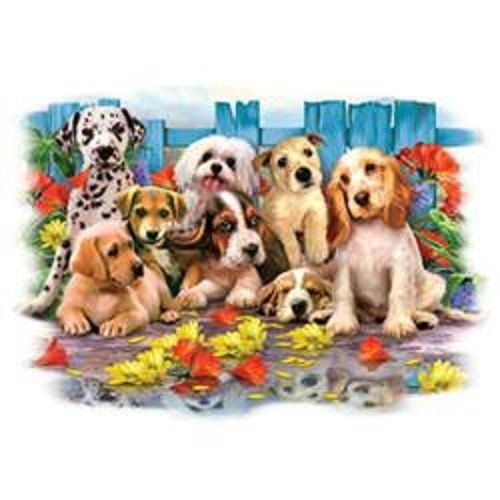 Puppy Dog HEAT PRESS TRANSFER PRINT for T Shirt Sweatshirt Quilt Fabric #999a