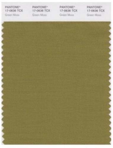 PANTONE SMART 17-0636X Color Swatch Card, Green Moss