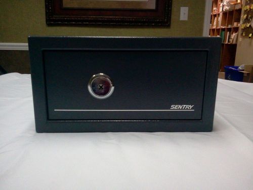 Sentry Security Safe