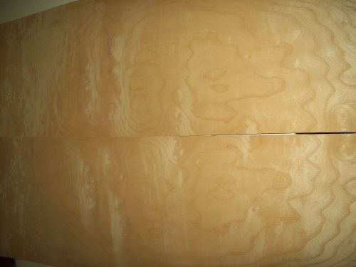 ash burl veneer 5 @ 11 x 36 [00745